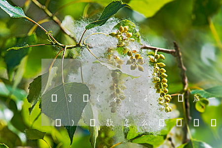 簽了協(xié)議后，一直沒有拿到補(bǔ)償款怎么辦？